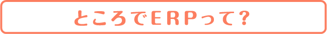 ところでERPって？